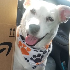 Meet your Posher, Karon